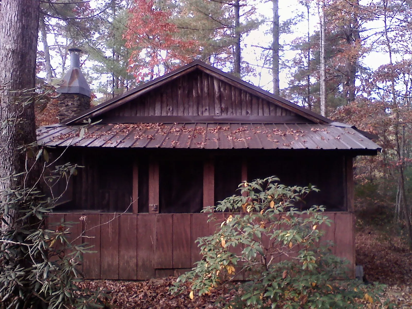 Metal roof over the screened porch of a rustic cabin in Charlottesville
